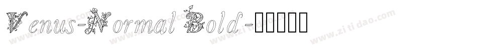 Venus-Normal Bold字体转换